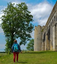 Le défi du Comte de Nevers à Druyes-les-Belles-Fontaines