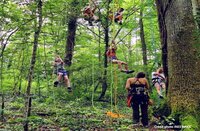 Fête du Canal | Grimp' d'arbre à Lalinde