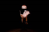Spectacle : Pode Ser à Nérac