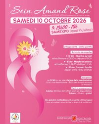 Sein Amand Rose à Saint-Amand-Montrond