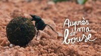 LE MOIS DU DOC : AUPRÈS DE MA BOUSE à Chanac