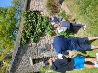 Deviens le gardien des oiseaux de l'Abbaye de La Lucerne à La Lucerne-d'Outremer