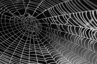 Halloween : balade et repas à Magnac-Bourg