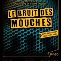 Le Bruit des Mouches - Théâtre Montmartre Galabru - Paris à Paris 18e